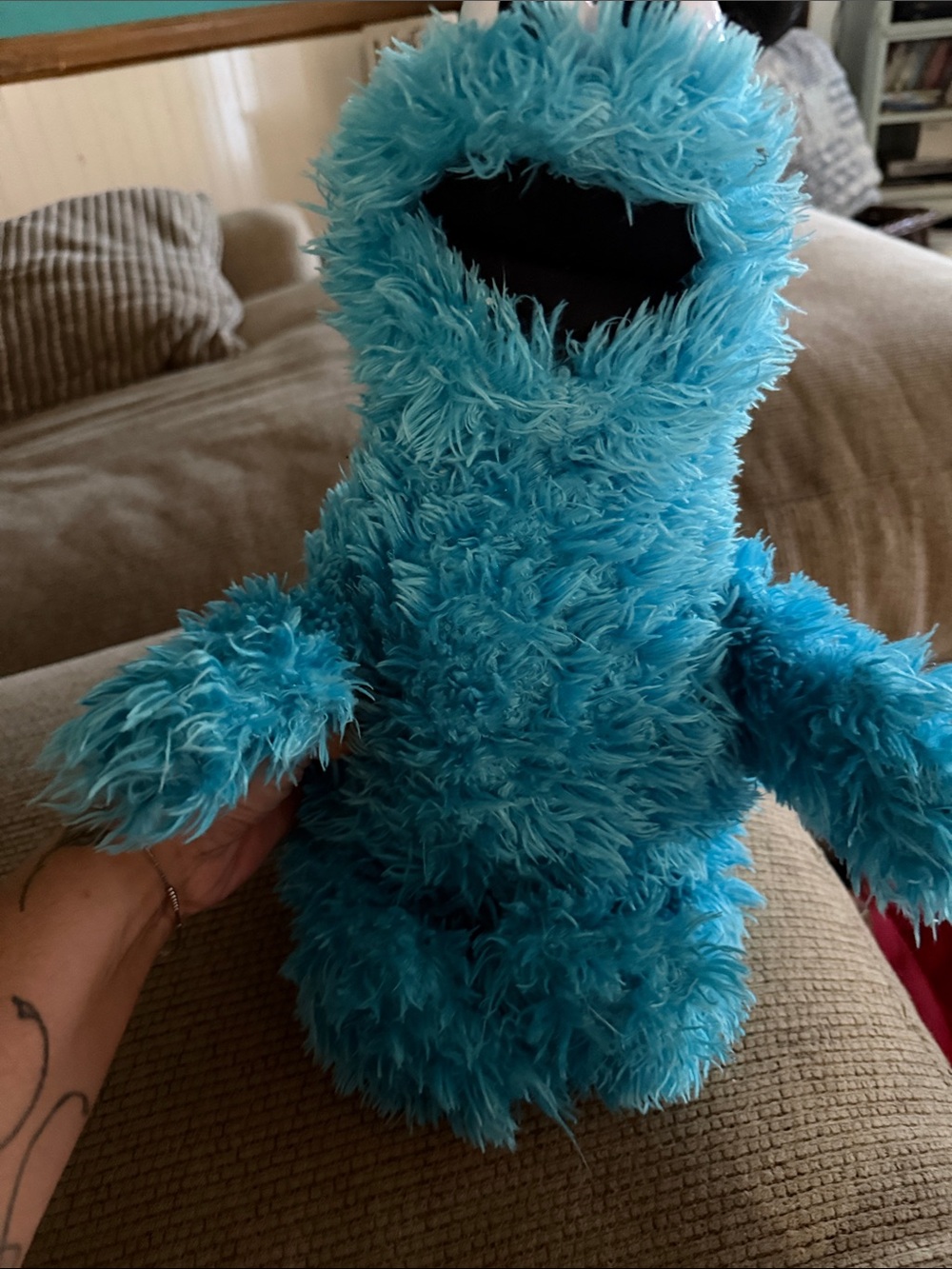 Sesame Street Cookie Monster Plush - Bright Blue Furry Character Toy